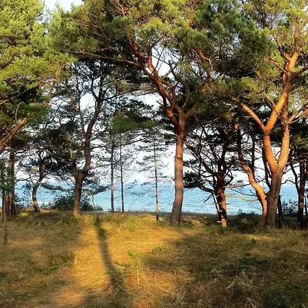 Strandapartment Windlooper 公寓 宾茨