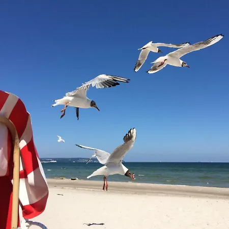 Strandapartment Windlooper Binz